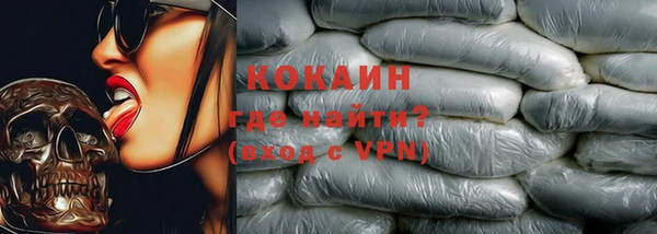 индика Аркадак