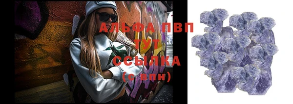 индика Аркадак