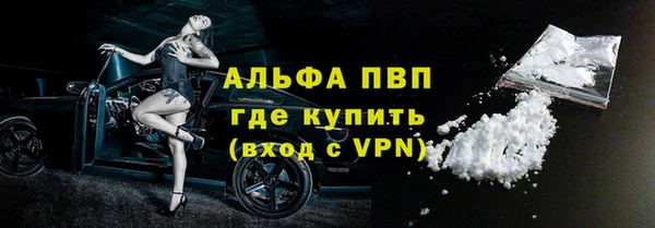 индика Аркадак