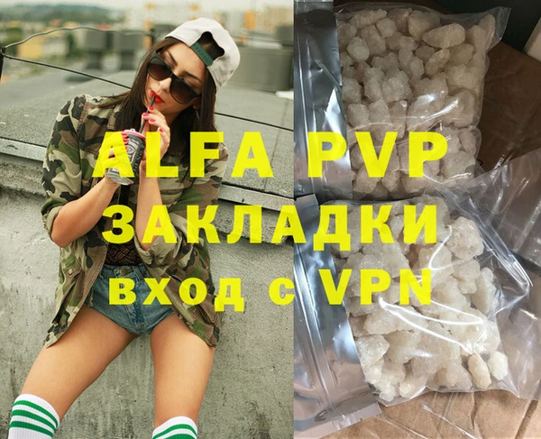 индика Аркадак