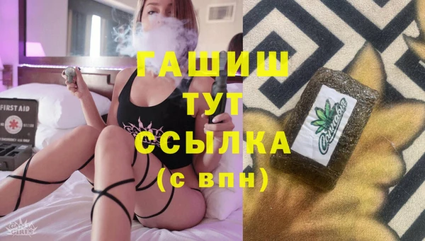 индика Аркадак