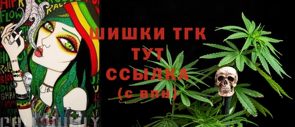 индика Аркадак