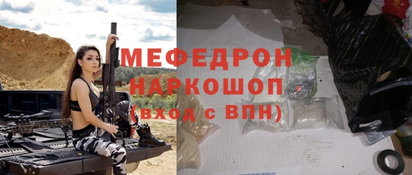 индика Аркадак