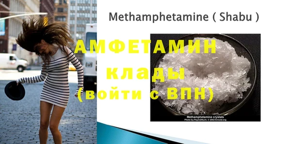 индика Аркадак