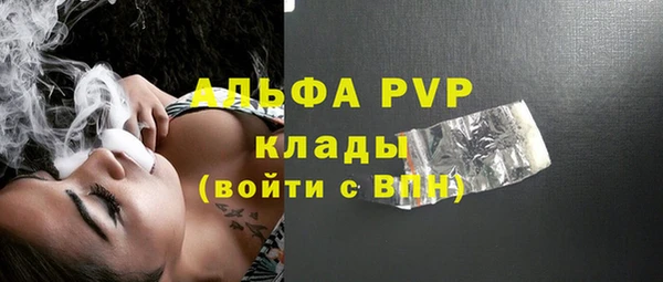 индика Аркадак