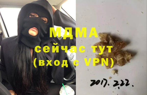 индика Аркадак